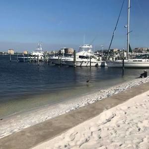 Meet your Posher, Patricia